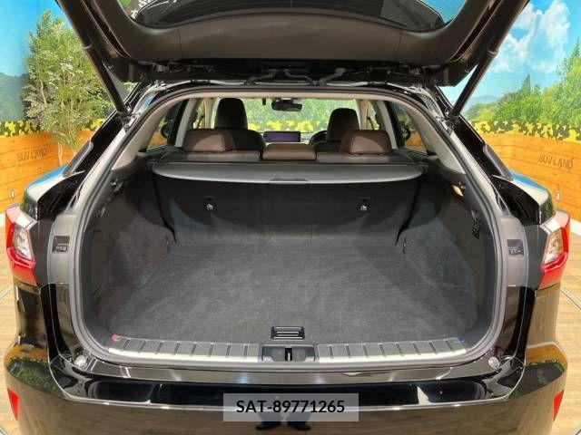 Lexus RX 2018-02 219063-10