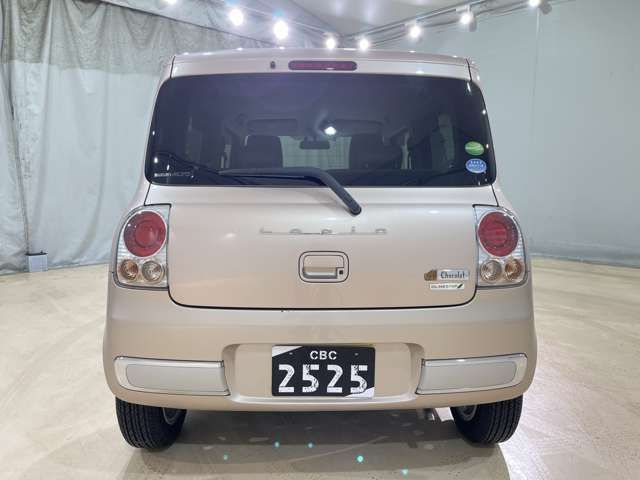 Suzuki LAPIN 2013-11 5889-9