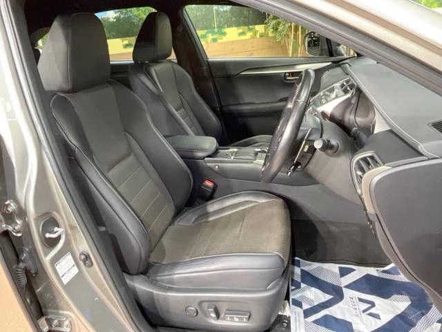 Lexus NX 2020-01 186332-9