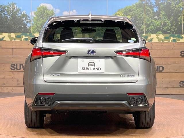 Lexus NX 2020-01 186332-15
