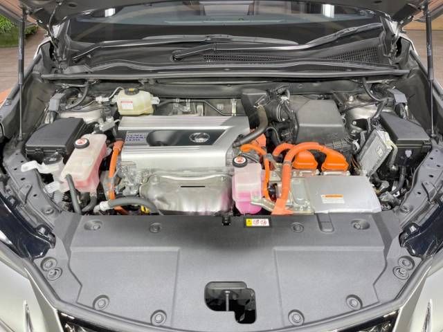 Lexus NX 2020-01 186332-18