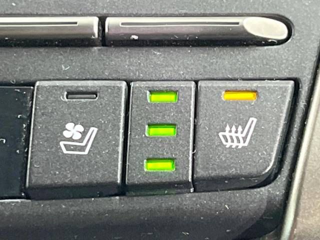 Lexus NX 2020-01 186332-4