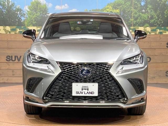 Lexus NX 2020-01 186332-14