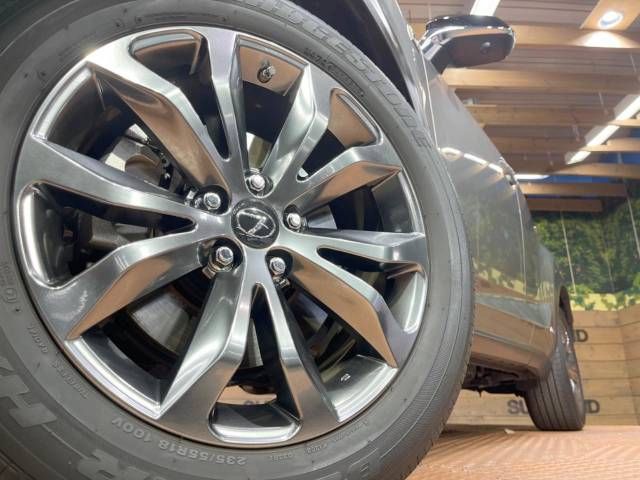 Lexus NX 2020-01 186332-13
