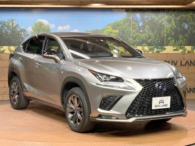 Lexus NX 2020-01 186332-16
