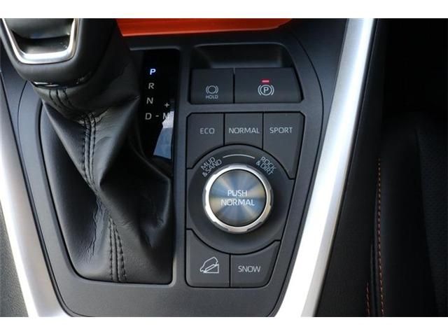 Toyota RAV4 2023-05 10716-11