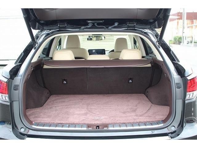 Lexus RX 2019-12 23640-16