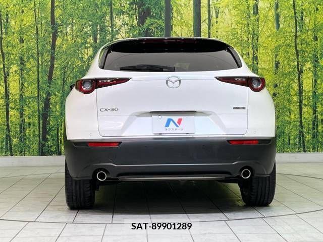 Mazda CX-30 2023-03 223253-15