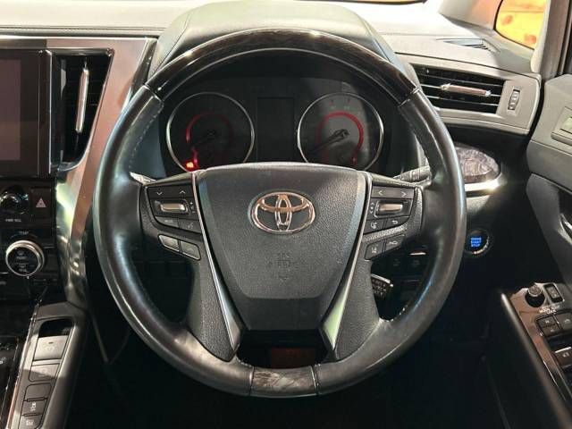 Toyota ALPHARD 2020-12 193866-11