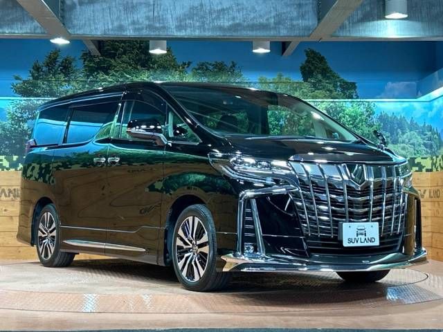 Toyota ALPHARD 2020-12 193866-16