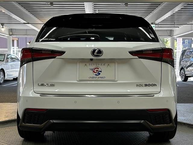 Lexus NX 2018-04 8791-18