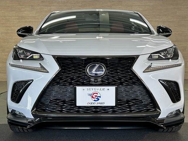 Lexus NX 2018-04 8791-16