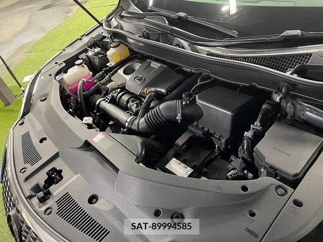 Lexus RX 2016-11 363006-19