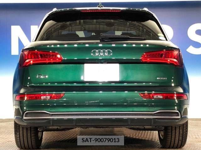 Audi Q5 2019-03 219273-16