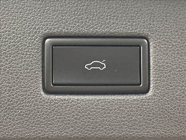VolksWagen TIGUAN 2020-09 13289-9