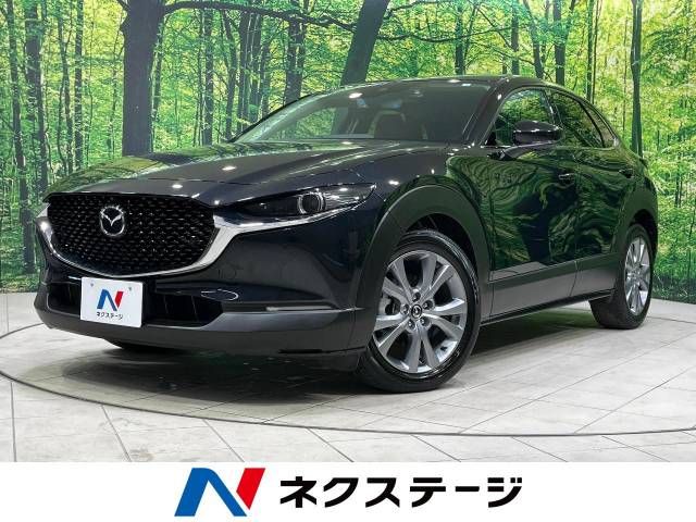 Mazda CX-30 2023-03 181531-0