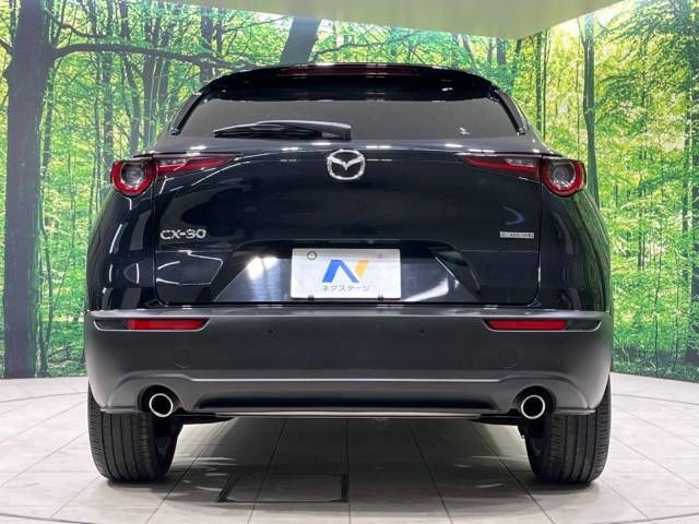 Mazda CX-30 2023-03 181531-15