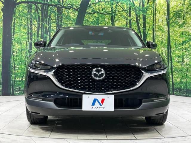 Mazda CX-30 2023-03 181531-14