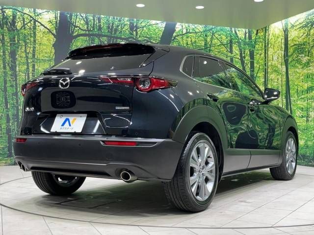 Mazda CX-30 2023-03 181531-17