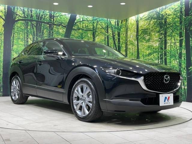 Mazda CX-30 2023-03 181531-16