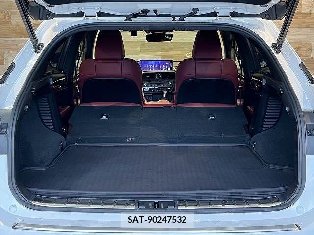 Lexus RX 2016-02 213971-19