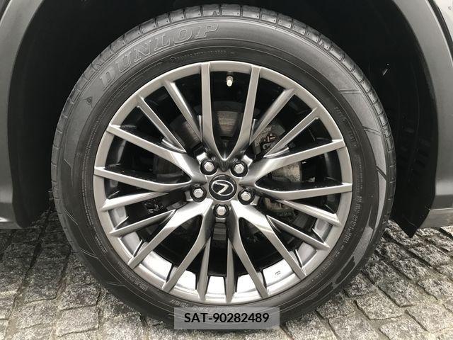 Lexus RX 2017-05 304867-6