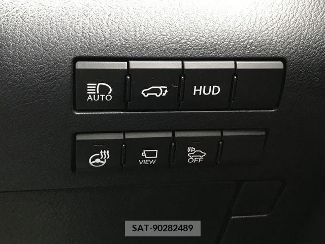 Lexus RX 2017-05 304867-19