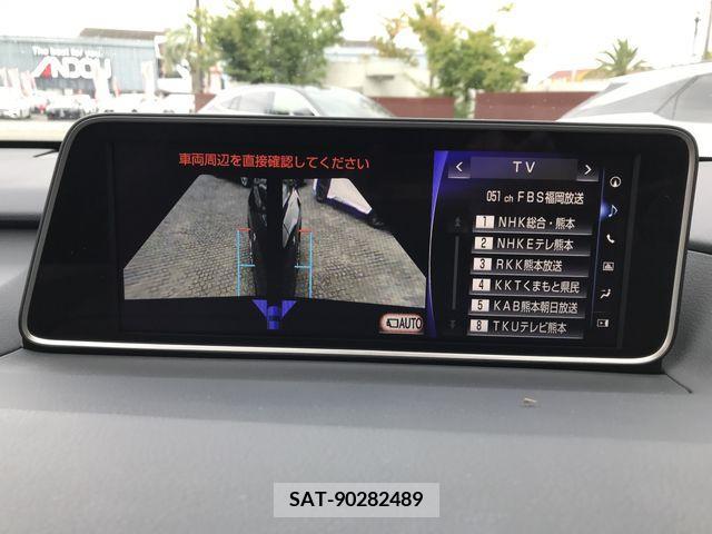 Lexus RX 2017-05 304867-15