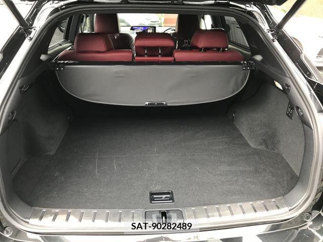 Lexus RX 2017-05 304867-26