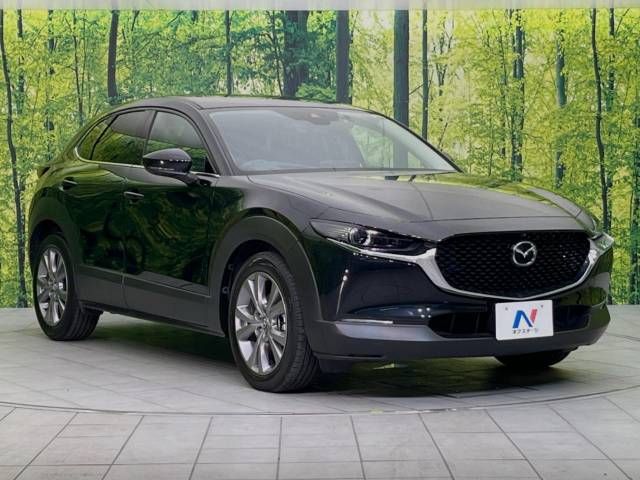 Mazda CX-30 2023-03 191646-16