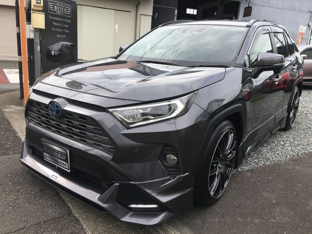 Toyota RAV4 2019-05 18573-2