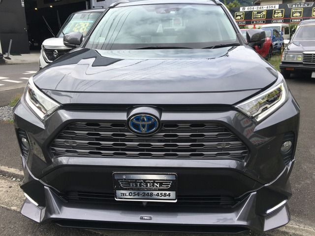 Toyota RAV4 2019-05 18573-1