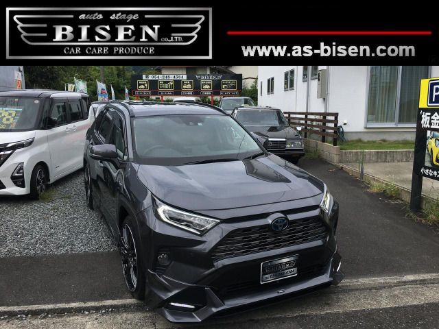 Toyota RAV4 2019-05 18573-0