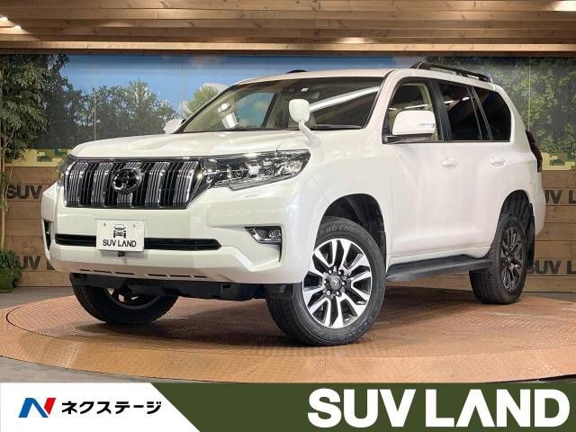 Toyota PRADO 2021-11 192243-0