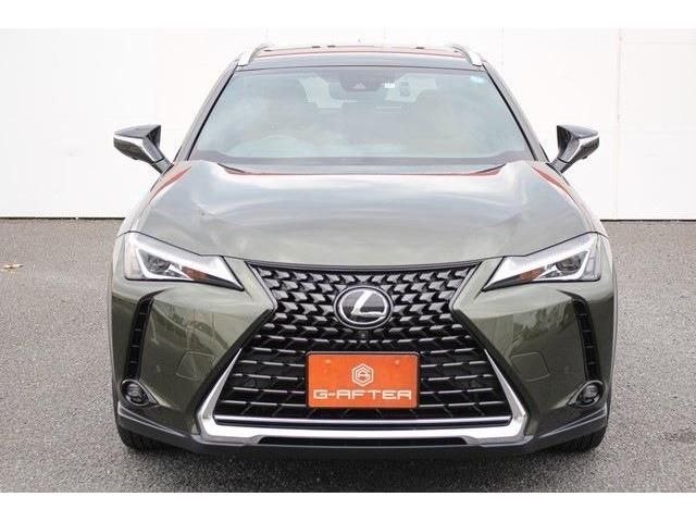 Lexus UX 2018-11 8054-7