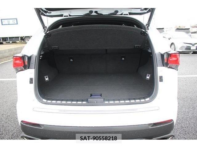 Lexus NX 2018-03 275666-17