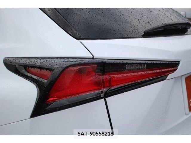 Lexus NX 2018-03 275666-13