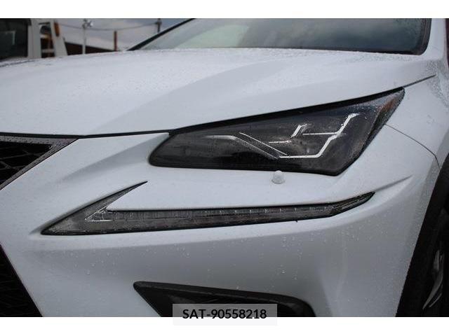 Lexus NX 2018-03 275666-12
