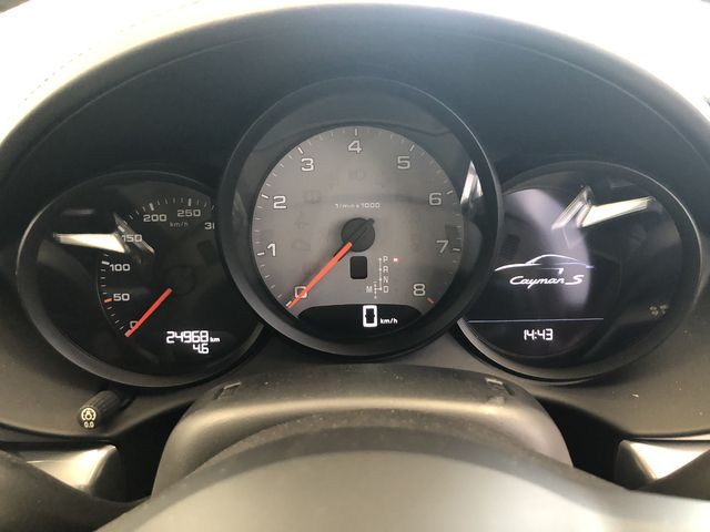 Porsche CAYMAN 2016-12 181247-13