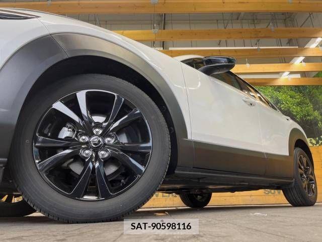 Mazda CX-30 2023-02 377909-13