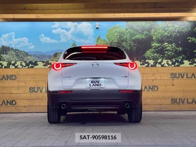Mazda CX-30 2023-02 377909-15