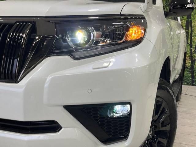 Toyota PRADO 2021-11 14090-13