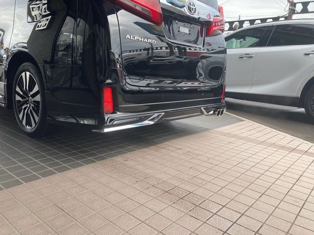 Toyota ALPHARD 2020-12 191675-7