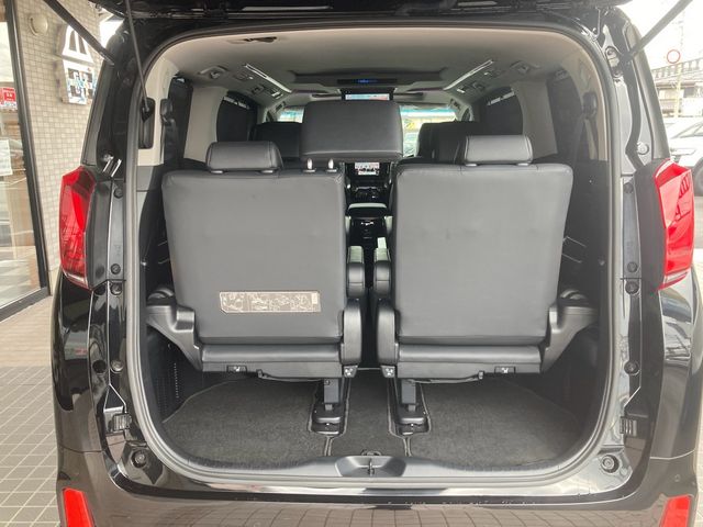 Toyota ALPHARD 2020-12 191675-24