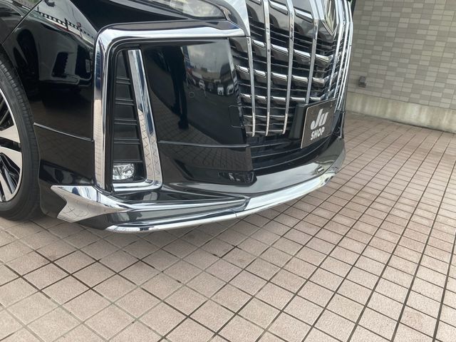 Toyota ALPHARD 2020-12 191675-10