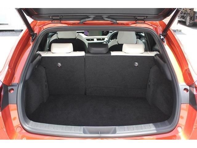 Lexus UX 2021-03 8608-17