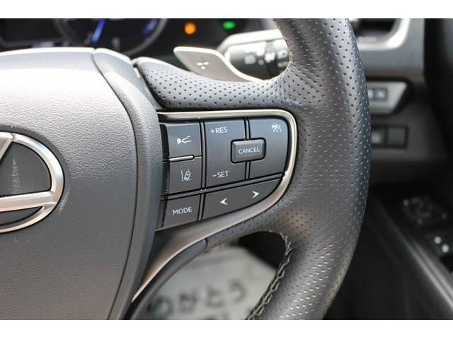Lexus UX 2021-03 8608-4