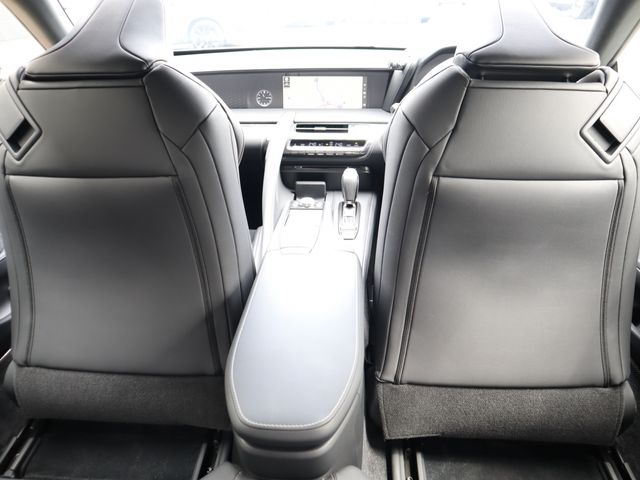 Lexus LC 2019-04 20852-11