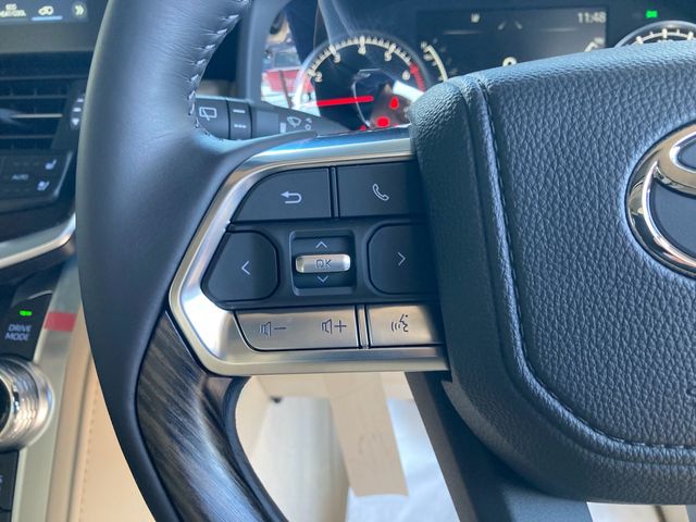 Toyota LAND CRUISER 2022-12 188231-14