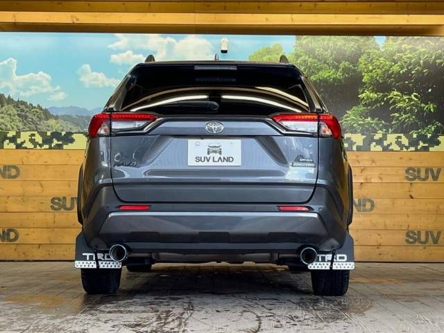 Toyota RAV4 2021-03 192820-16